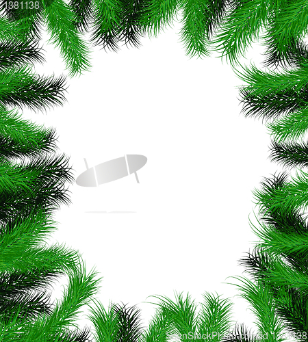 Image of Frame from Christmas tree branch