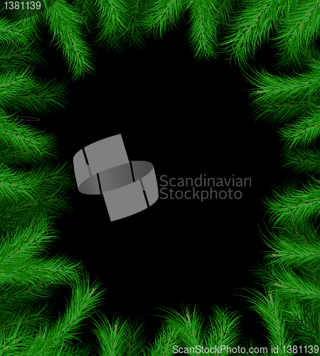 Image of Frame from Christmas tree branch
