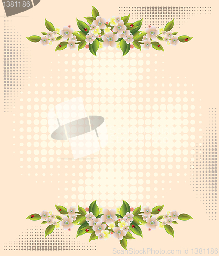 Image of flower over halftone backgrounds