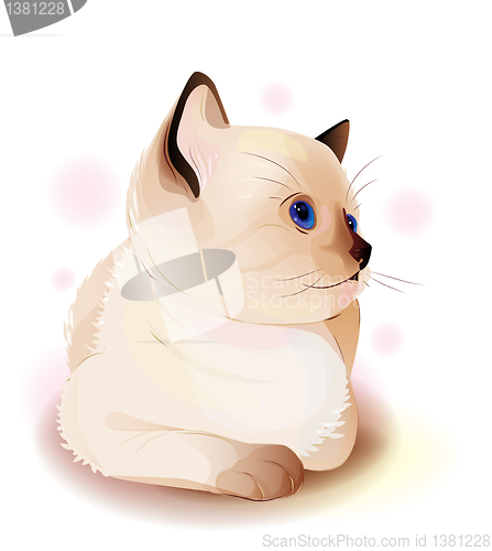 Image of  portrait of blue-eyed  little Siamese  kitten. Watercolor style