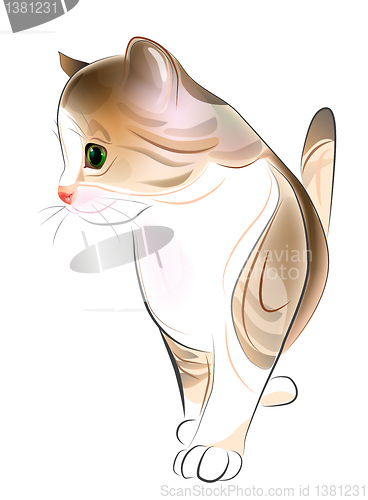 Image of hand drawn  portrait of  ginger tabby kitten. Watercolor  style