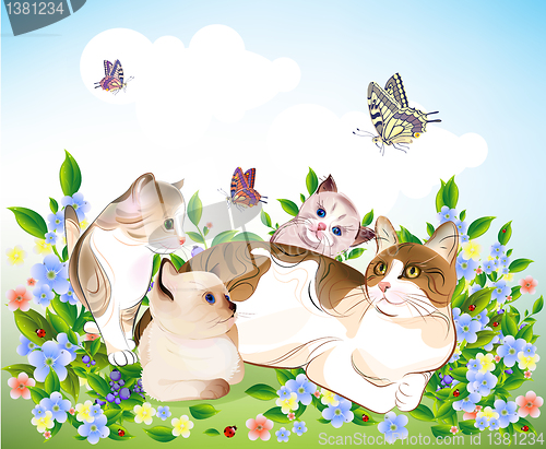 Image of happy ñats family. Cat and  kittens on the meadow.