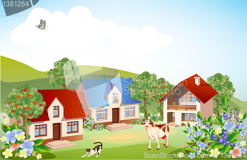 Image of summer rural landscape
