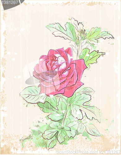 Image of vintage red rose