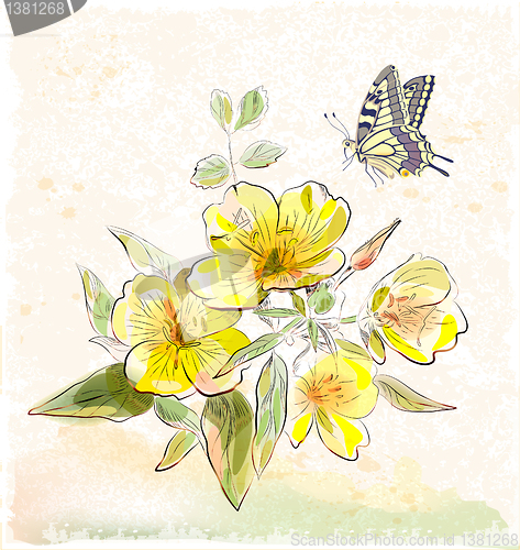 Image of yellow field flowers and butterfly