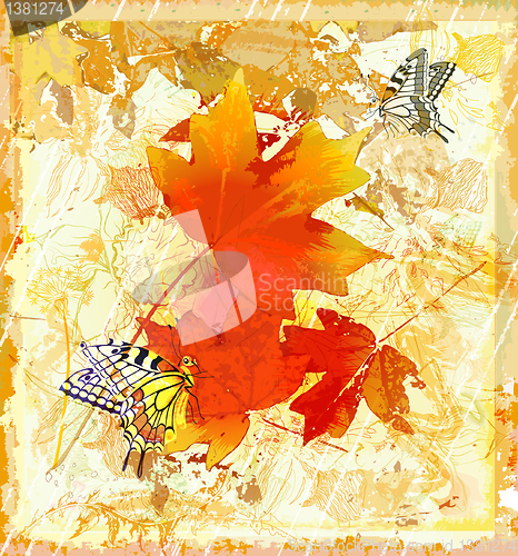 Image of autumnal  grunge background with  red maple leaves and butterfli