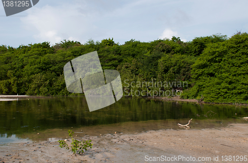 Image of Tropical lake