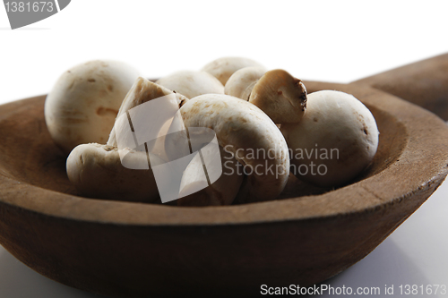 Image of Fresh mushrooms.                 