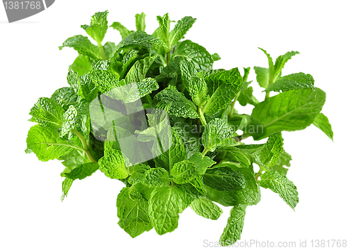 Image of mint