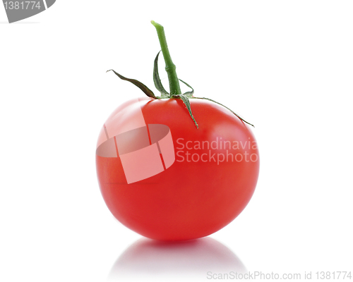 Image of tomato