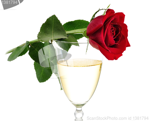 Image of white wine