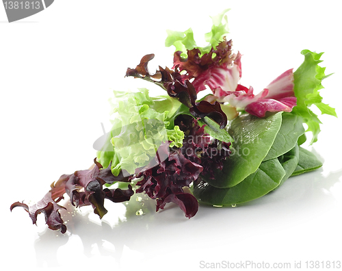 Image of salad leaves