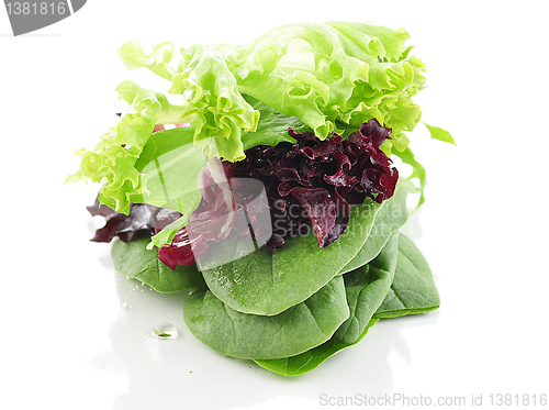 Image of salad leaves