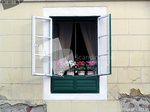 Image of Flower window