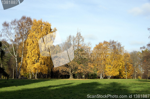 Image of Landscape