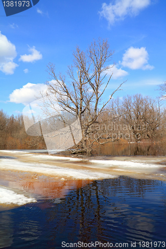 Image of spring flood in wood