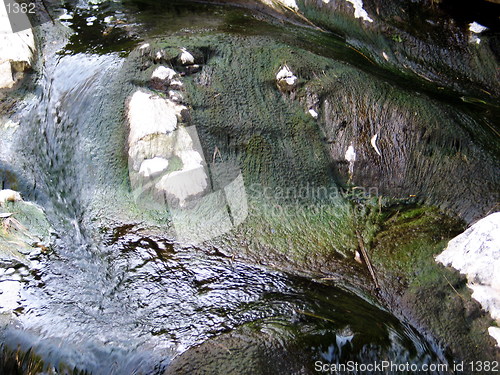 Image of Slow moving water