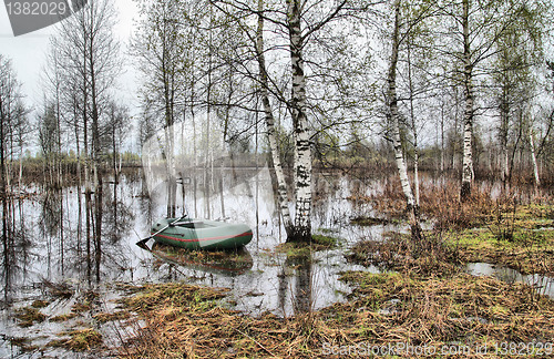 Image of rubber boat on coast marsh