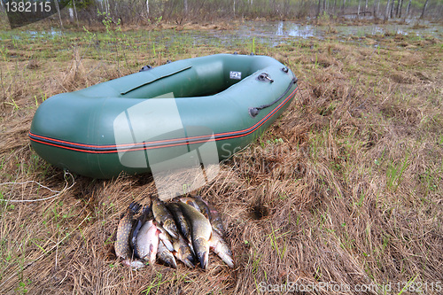 Image of river fish near rubber boat