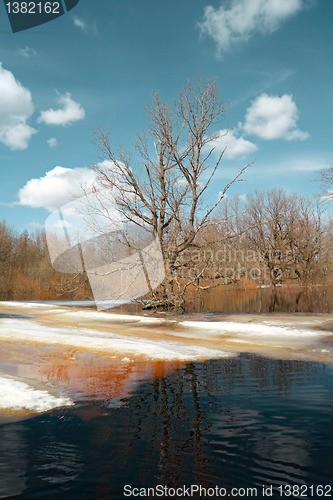 Image of spring flood in wood