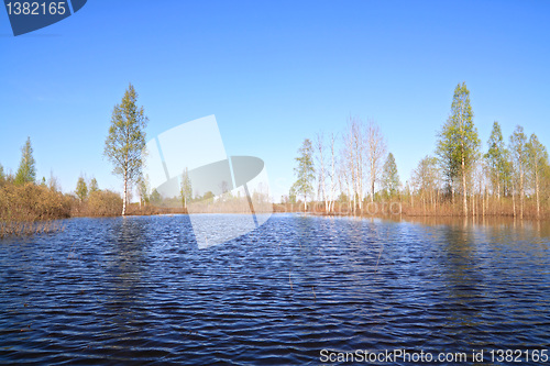 Image of timber lake