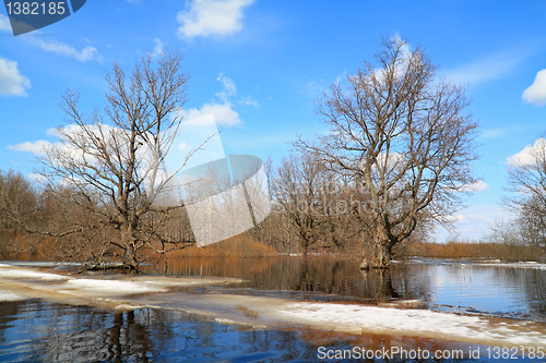 Image of spring flood in oak wood