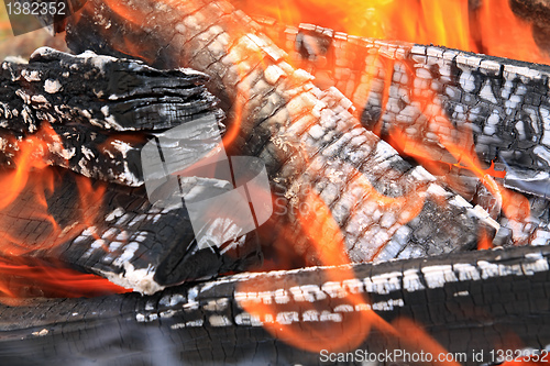 Image of burninging firewood in campfires