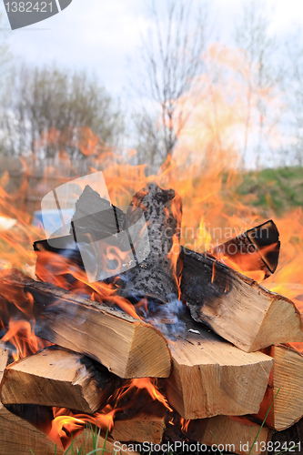 Image of burninging firewood in campfires