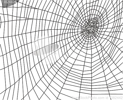 Image of Cobweb