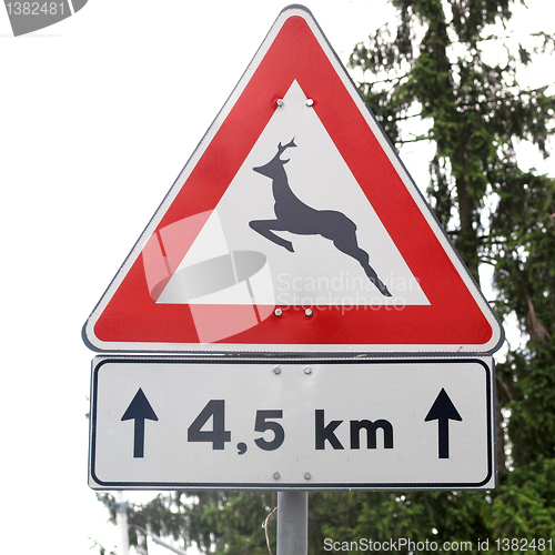 Image of Wildlife danger sign