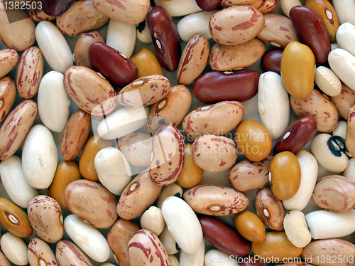 Image of Beans salad