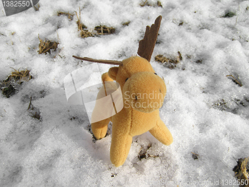 Image of Deer picture