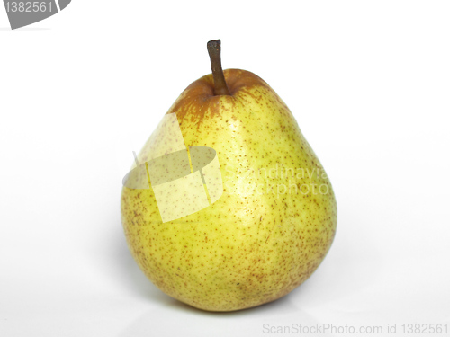 Image of Pear picture