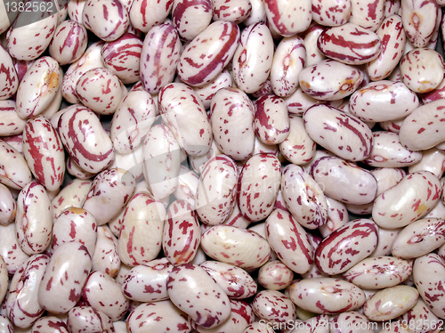 Image of Beans salad