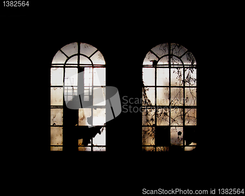 Image of Abandoned factory