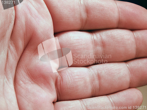 Image of Hand