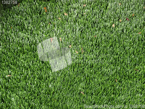 Image of Artificial grass