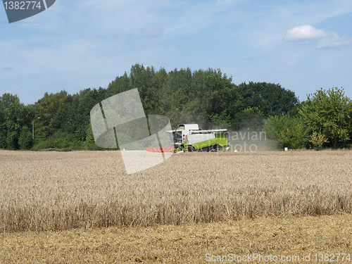 Image of Harvest