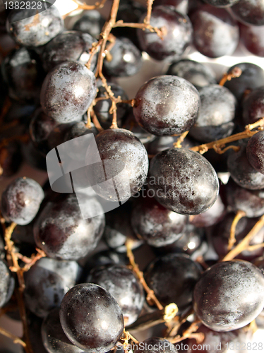 Image of Grape picture