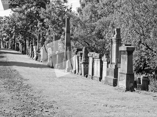 Image of Glasgow necropolis