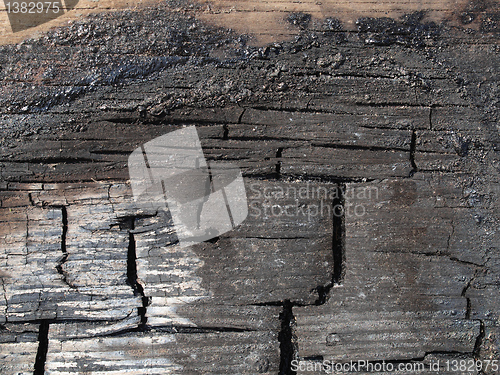 Image of Burned wood
