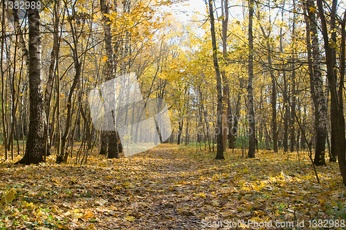 Image of Autumn park