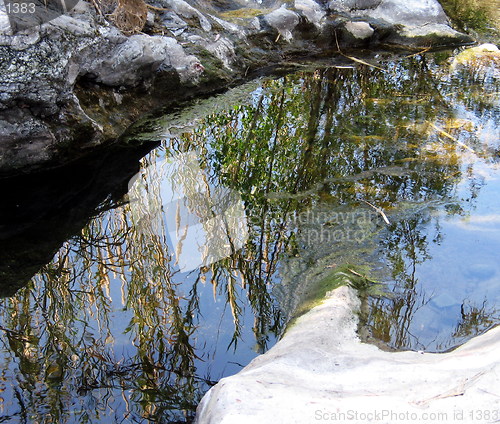 Image of Water Reflections