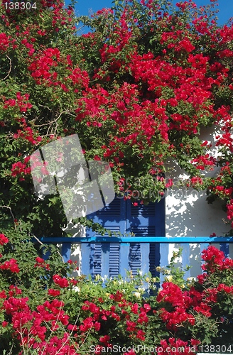 Image of balcony and flowers