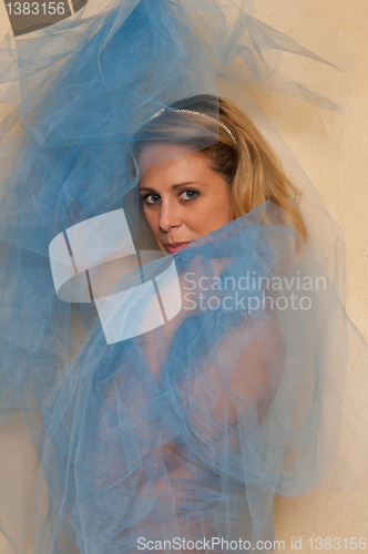 Image of Blue tulle