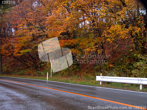 Image of Autumn road