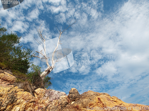 Image of Dramatic beach landscape