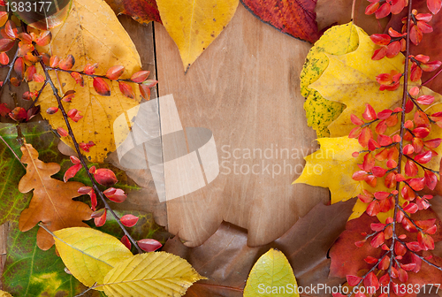 Image of Autumn Background