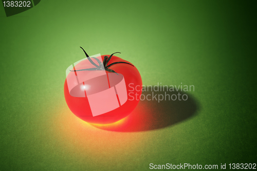 Image of Special Tomato