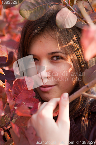 Image of Autumn girl